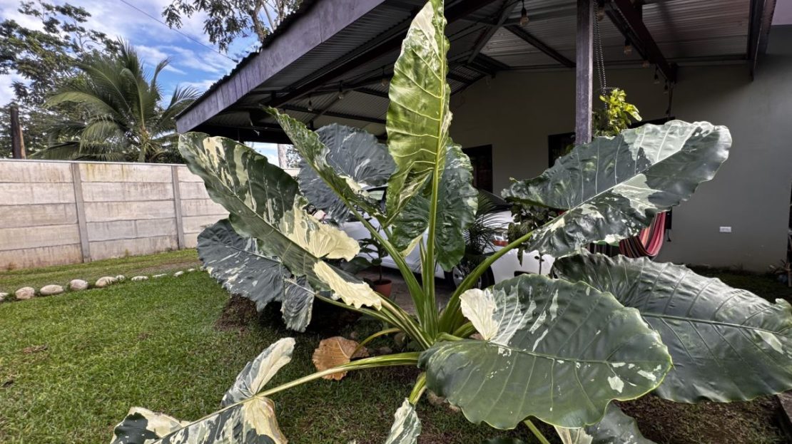 Costa Rica Real Estate