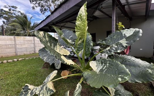 Modern Home For Sale in La Fortuna, Costa Rica – Just 10 Minutes from Downtown, Perfect for Airbnb Investment