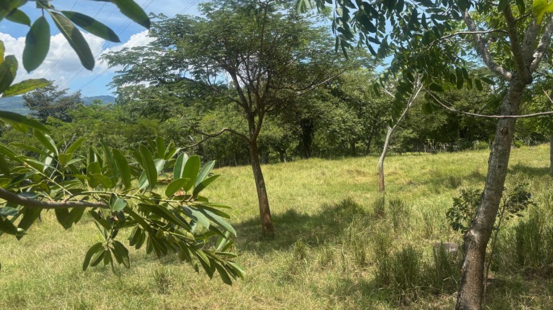 Costa Rica Real Estate