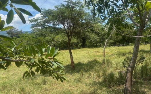 Lot in area close to the 27 and town center in the Atenas countryside