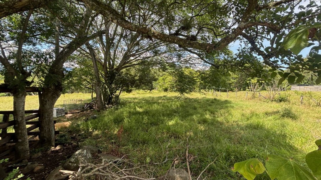 Lot in area close to the 27 and town center in the Atenas countryside