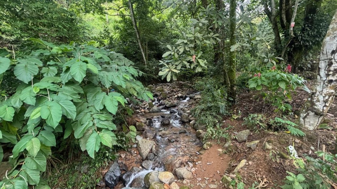 Costa Rica Real Estate