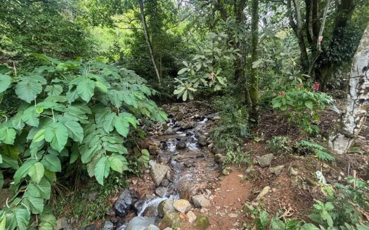 Farm like property with 2 homes near stream in Desmonte