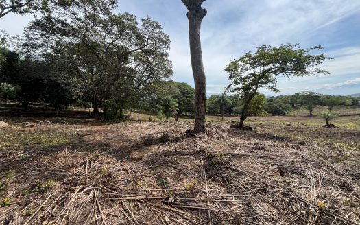 New to market! Very exclusive lots in private community in the Atenas countryside