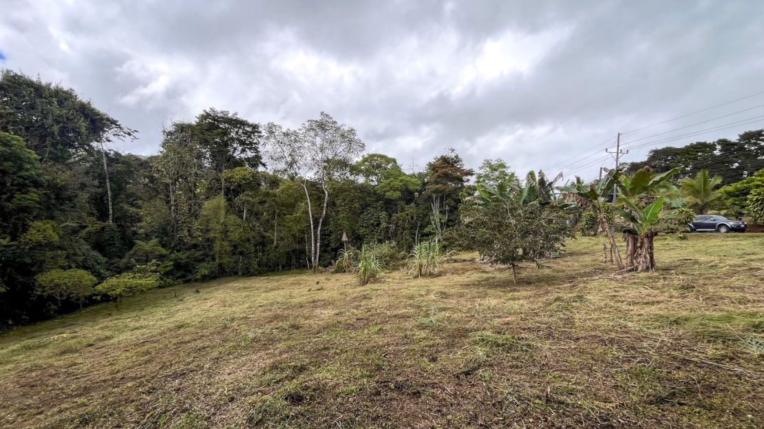 Costa Rica Real Estate