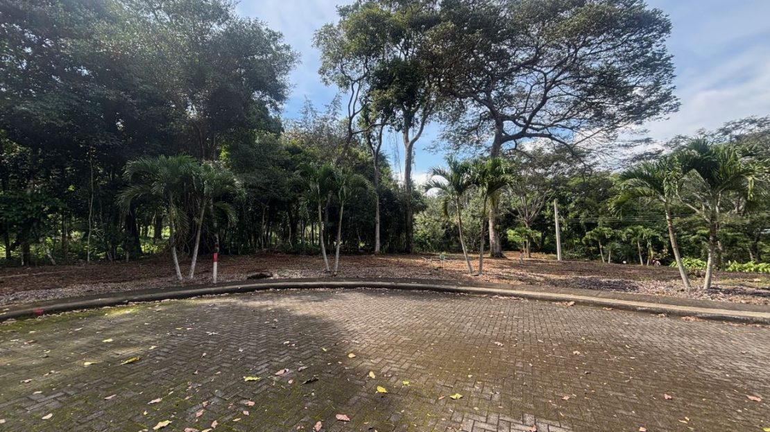 Atenas' first 80-lot in condominium from 260m2 to 562m2 at $250/m2 in guarded perimeter