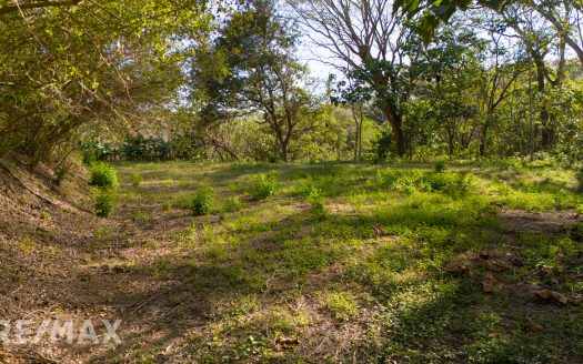 LOTE SAMARA WOODS 4 Guanacaste | REMAX