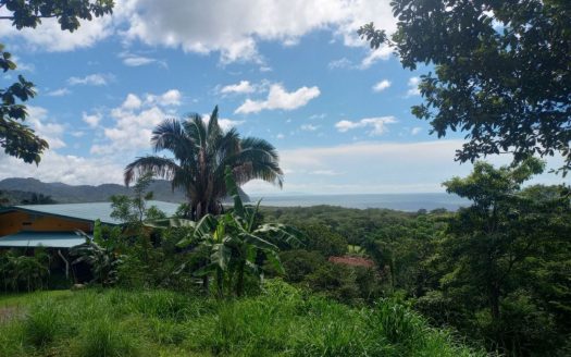 Ocean-View Residential Lots Near Camaronal Wildlife Refuge
