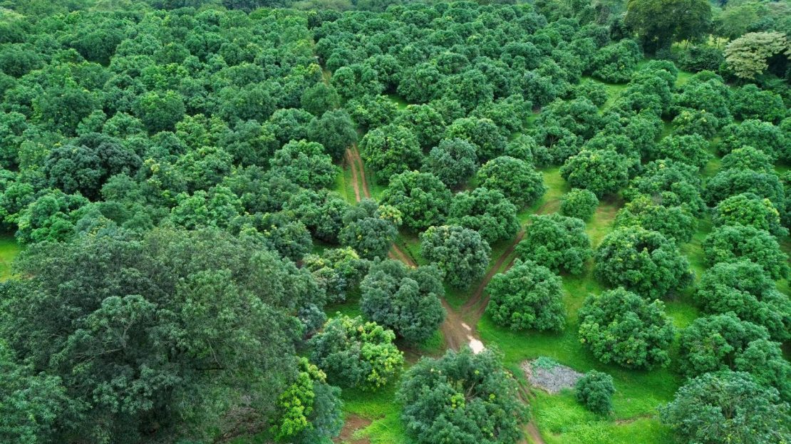 Orotina For Sale 30740 | RE/MAX Costa Rica Real Estate