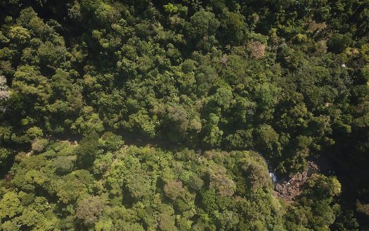 Drake Bay Eco-Lodge Property for Sale – The Jungle Getaway