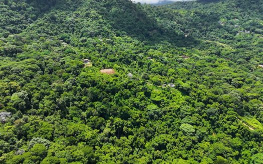 Osa>Dominical For Sale 34143 | RE/MAX Costa Rica Real Estate