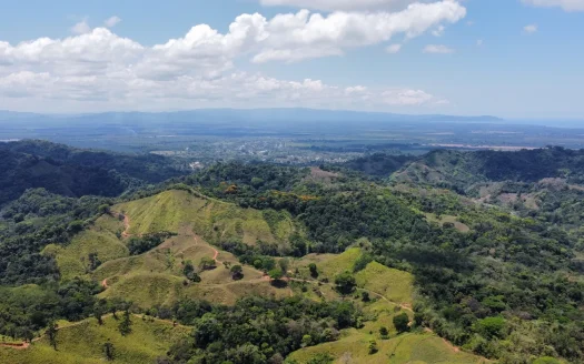 Osa>Puerto Cortes Real Estate Listings 29925