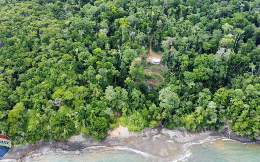 Osa>Sierpe Real Estate Listings 29974