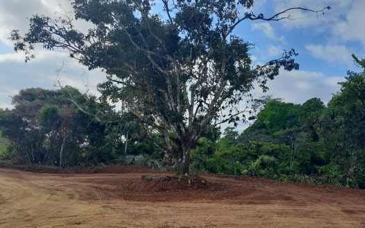 Oceanview Land with Waterfall – Costa Rica