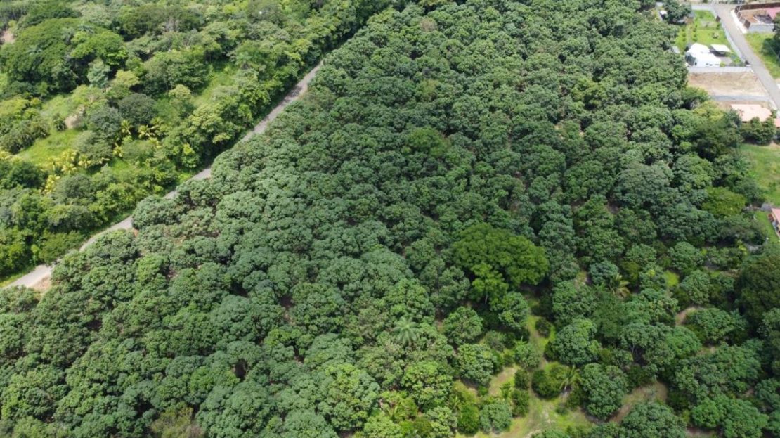 Costa Rica Real Estate