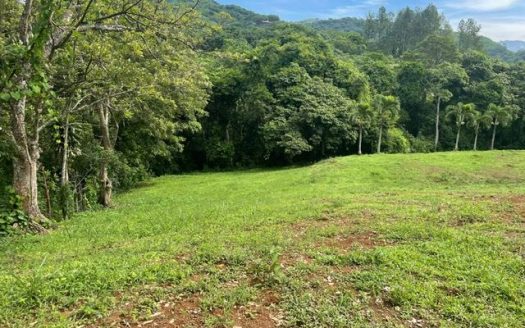 Lot for sale in an exclusive neighborhood in the Atenas countryside