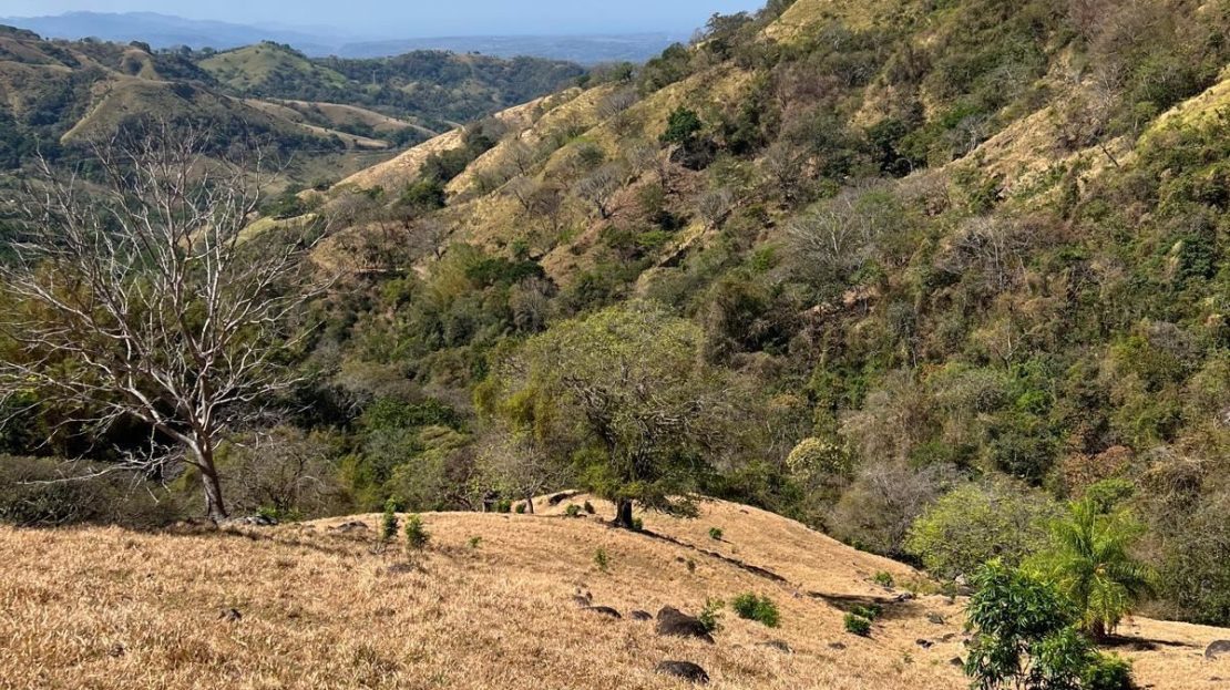 Beautiful 50 acre property adjacent to a natural swimming hole