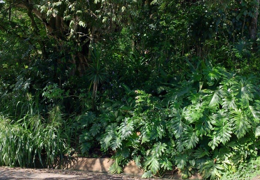 346m2 lot close to the new and old highways