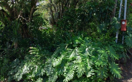 Large mixed use 22,346m2 lot close to the new and old highways