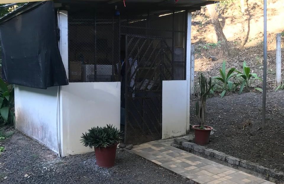 Countryside home in a farm setting next to primary forest with stream