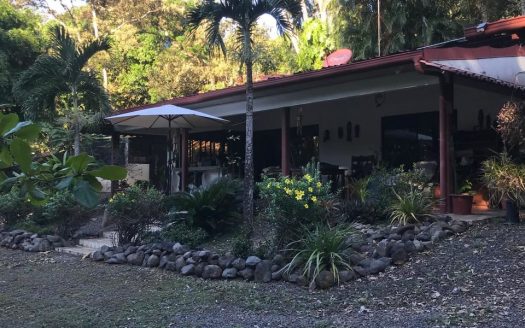 Countryside home in a farm setting next to primary forest with stream