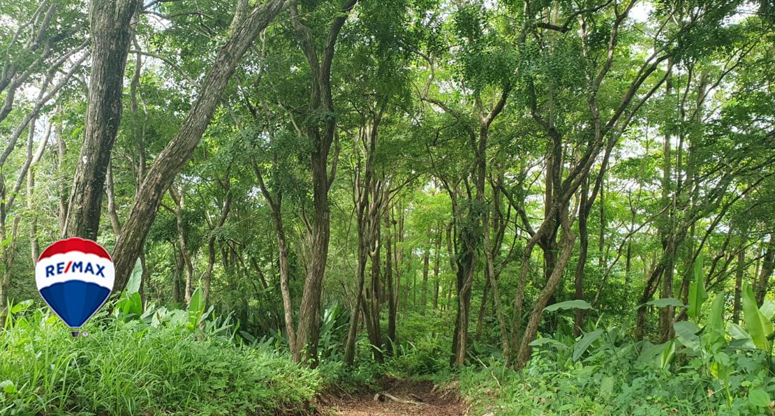 Parrita  87482 | RE/MAX Costa Rica Real Estate