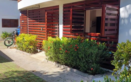 Profitable Palm oil plantation