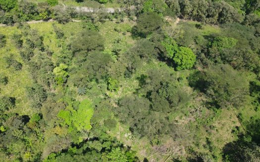 13-Acre Farm in Las Vegas de Parrita