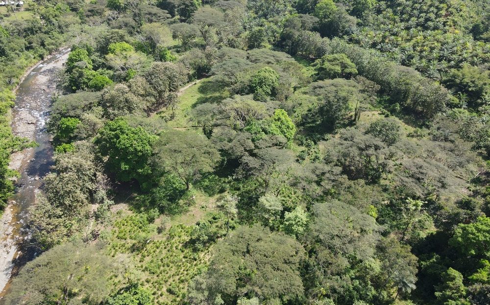 Parrita For Sale 33100 | RE/MAX Costa Rica Real Estate