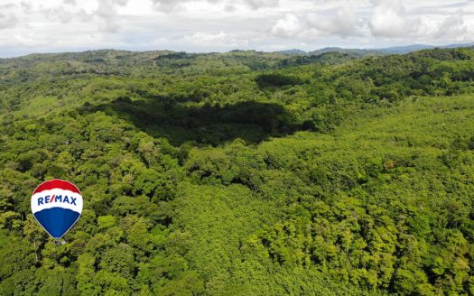 Exotic hardwood farms | Teak plantation | Land bank opportunity