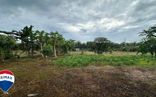 STRATEGIC LOT ON ROUTE 34 / COMMERCIAL OR RESIDENTIAL / PARRITA
