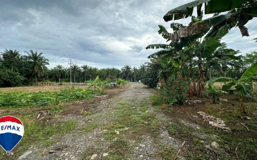 Parrita For Sale 85998 | RE/MAX Costa Rica Real Estate