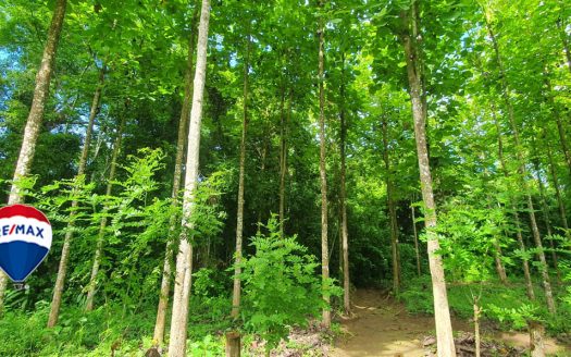 Parrita For Sale 87469 | RE/MAX Costa Rica Real Estate