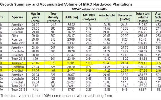 Professionally Planted and Managed Hardwood Plantation | One of Four | Bird 98