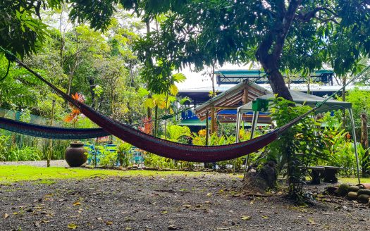 Boutique Eco-hotel by the beach