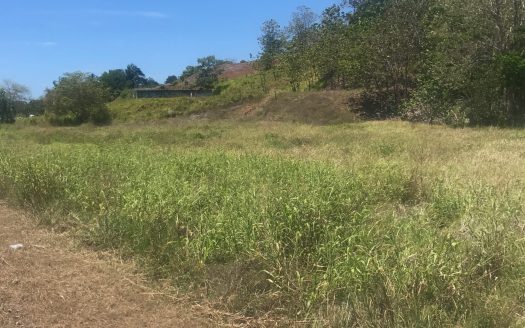 Highway Frontage Commercial