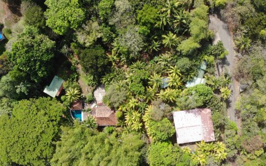 Boutique Hotel | Surf Camp | Bed and Breakfast on 1.4 Acres | Near the beach