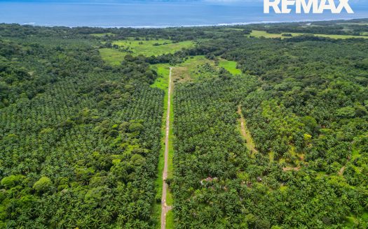 Parrita>Esterillos For Sale 94880 | RE/MAX Costa Rica Real Estate