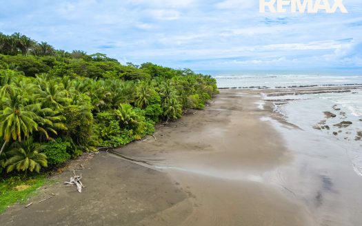 Beachside Farmland Investment | 40 Hectares