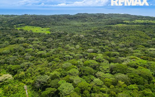 Parrita>Esterillos For Sale 94929 | RE/MAX Costa Rica Real Estate