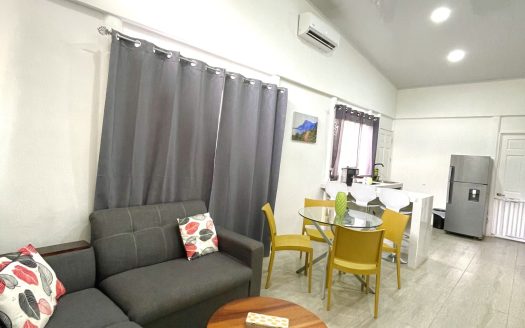 Affordable brand new mountain home