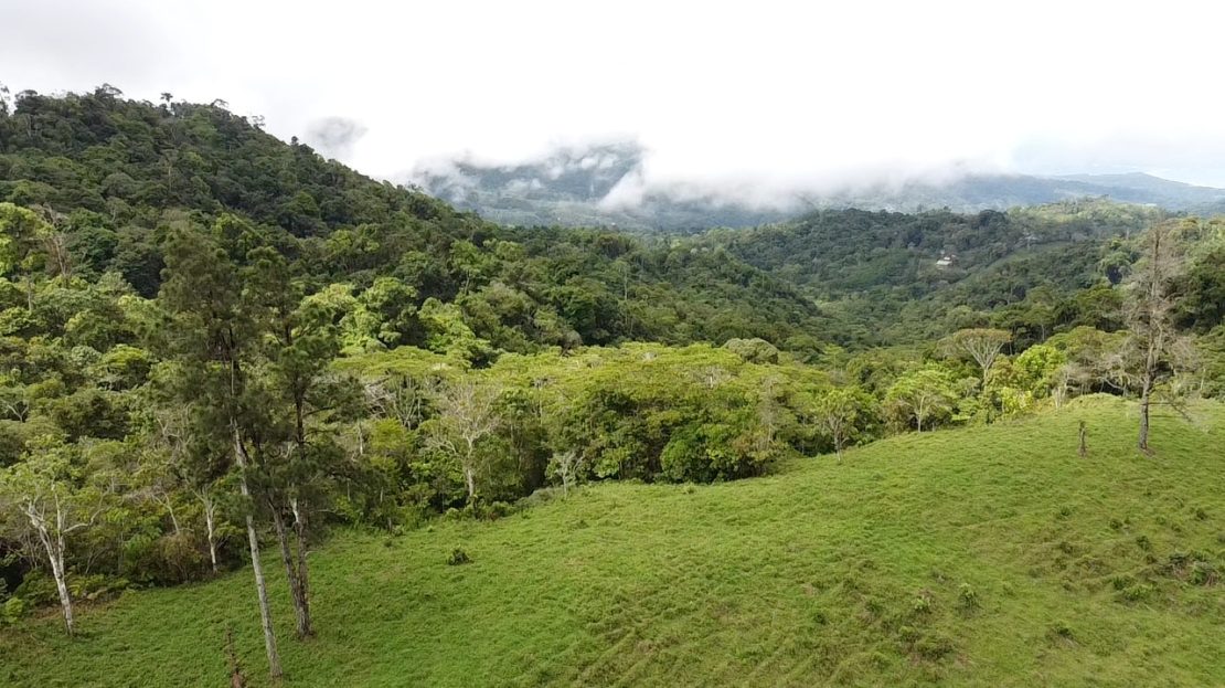 Pérez Zeledón For Sale 30377 | RE/MAX Costa Rica Real Estate