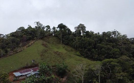 Cool climate + ocean views = pura vida