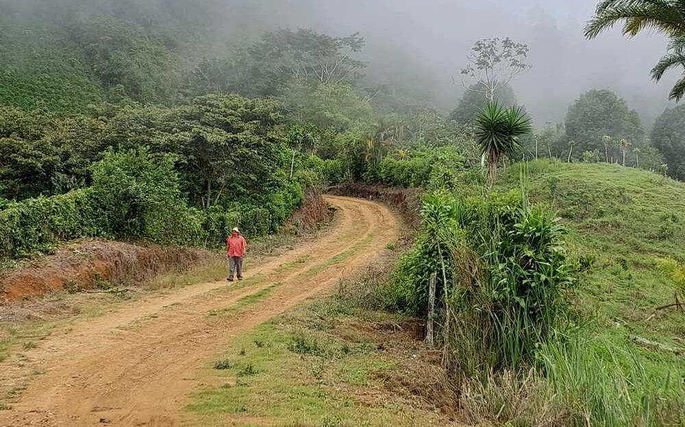 Pérez Zeledón For Sale 30409 | RE/MAX Costa Rica Real Estate