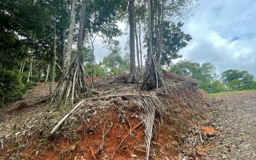 Quiet, private with incredible views of the mountains, just 7 minutes from Dominical!