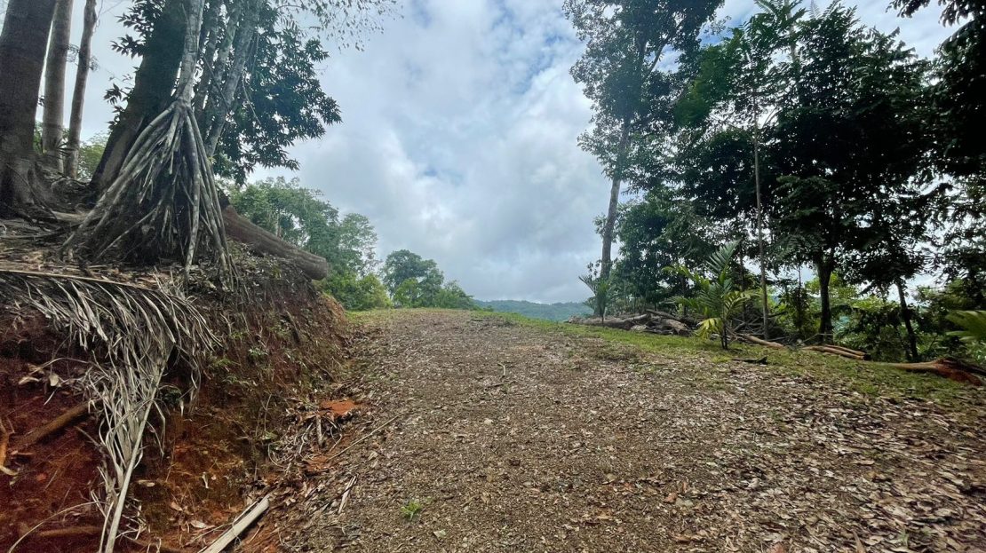 Pérez Zeledón For Sale 30440 | RE/MAX Costa Rica Real Estate