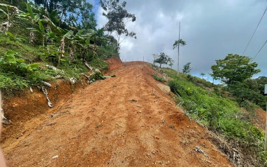 Central to the beach and the city – Ideal Location – Ocean Views