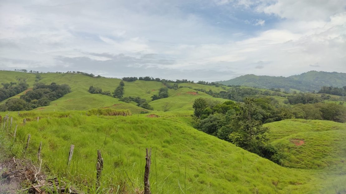 Pérez Zeledón For Sale 30473 | RE/MAX Costa Rica Real Estate