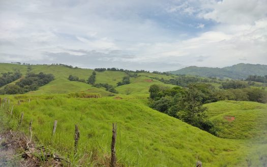 Pérez Zeledón For Sale 30473 | RE/MAX Costa Rica Real Estate