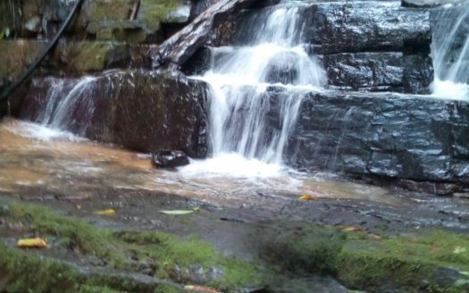 Ideal development land in Platanillo